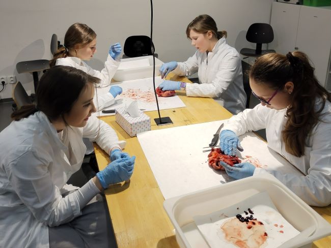 abIMG 20240315 124644