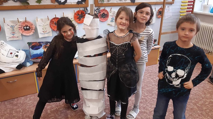 370221118 3340424989551362 7332422507549702044 nzm