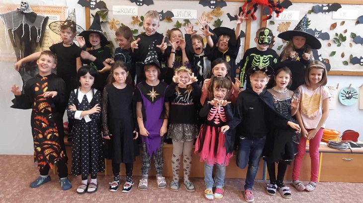 386452204 6852021071555350 8030535023237396273 nzm