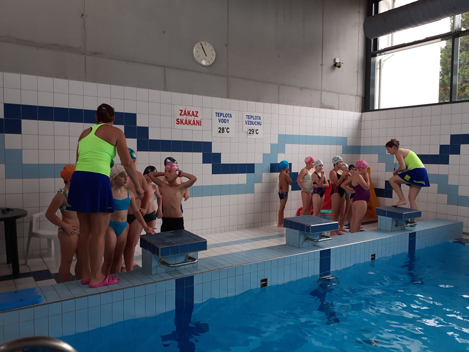 258148020 1273229509828598 269398535835064538 n