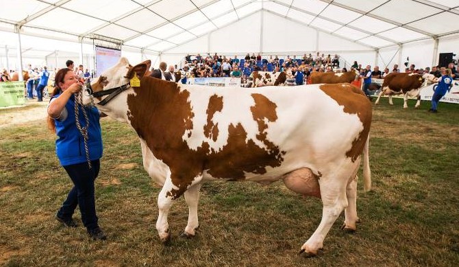 a307157069 631548705002269 2359193978449532247 n