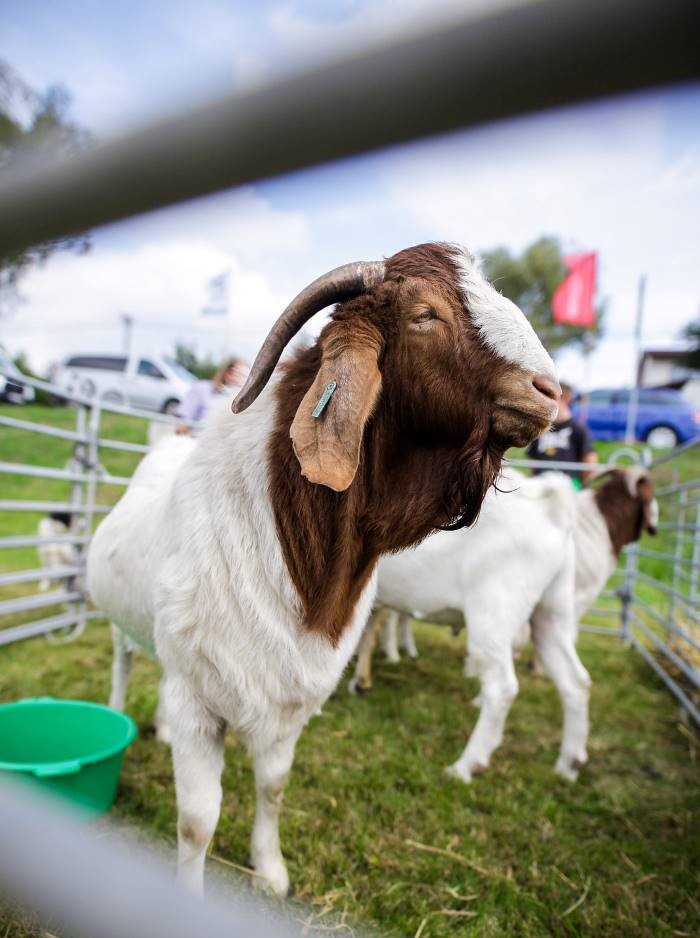 aa307106402 631548608335612 1266059257358465760 n