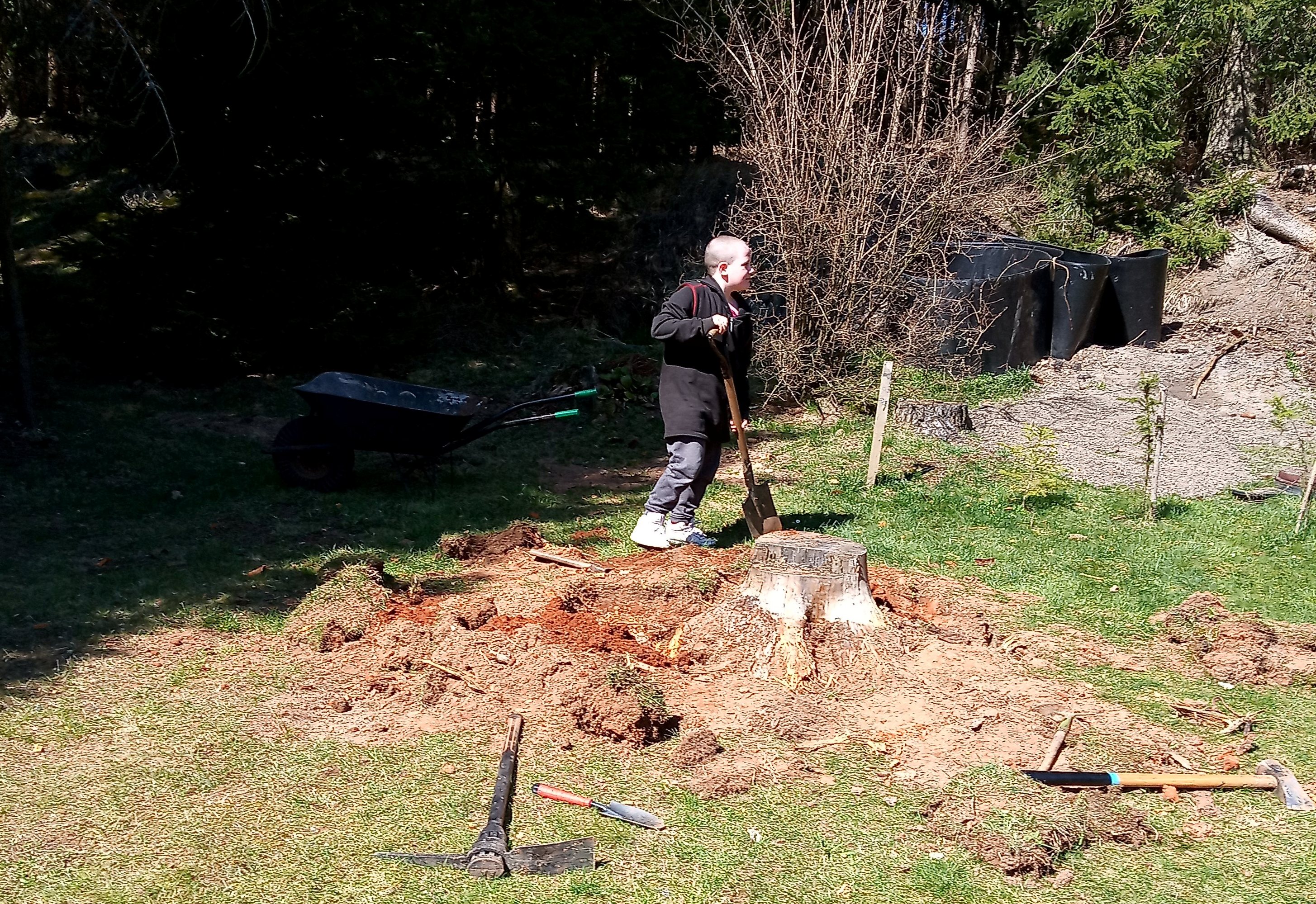 93313246 1754940974647960 7546066305653145600 n